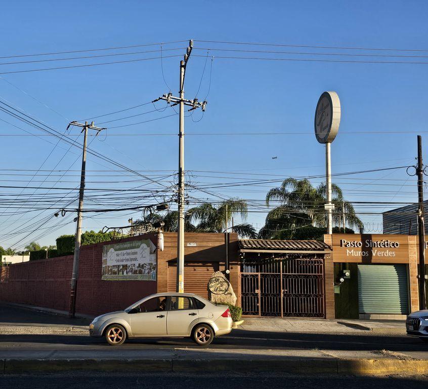 Foto de la galeria de imagenes
